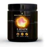 Welltech